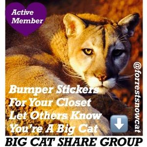 BIG CAT SHARE GROUP BUMPER STICKER